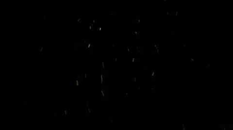 Snowfall Stock Footage 11625128