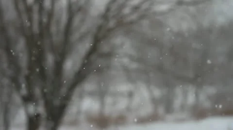 Snowfall Stock Footage 20449872