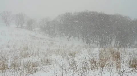 Snowfall Stock Footage 20450066