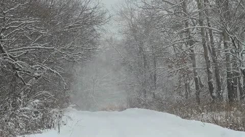 Snowfall Video stock 20502914