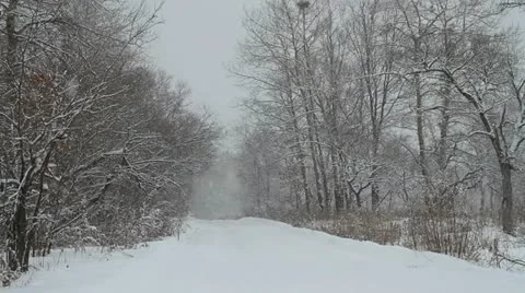 Snowfall Video stock 20504998