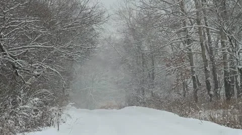 Snowfall Stock Footage 20511408