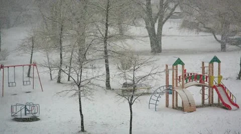 Snowfall Stock Footage 21231009