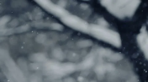 Snowfall Stock Footage 24860837
