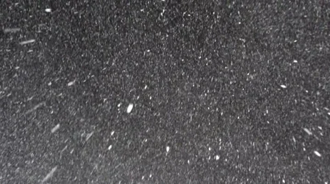 Snowfall Stock Footage 32972000