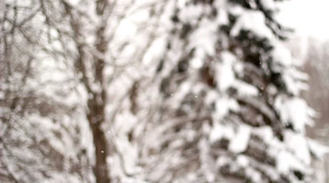 Snowfall Stockbeeldmateriaal 33995947