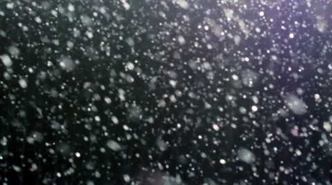 Snowfall Stock Footage 34741291
