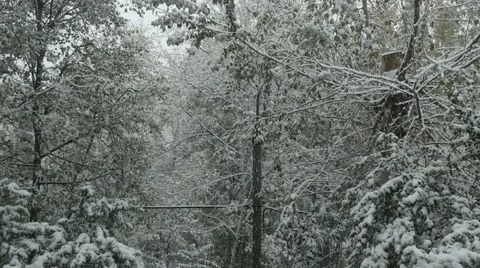 Snowfall Stock Footage 55666553