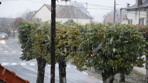 Snowfall Stock Footage 83081724