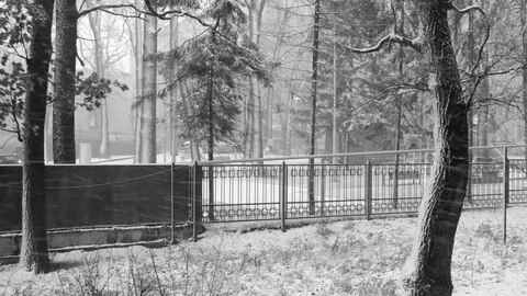 Snowfall Stock Footage 83885060