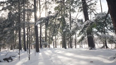 Snowfall Stockbeeldmateriaal 86887363