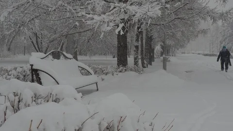 Snowfall Video stock 88894443