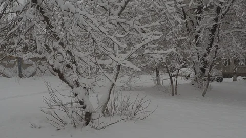 Snowfall Stock Footage 88894540