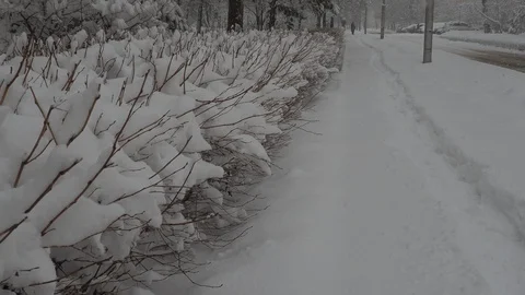 Snowfall Video stock 88894596