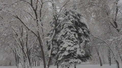 Snowfall Video stock 88894696