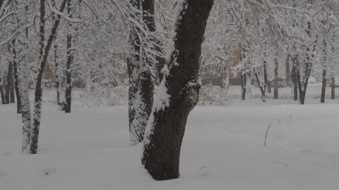 Snowfall Video stock 88894743