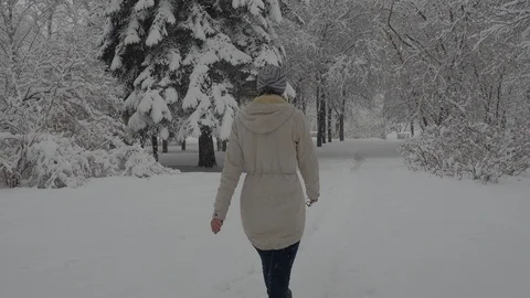 Snowfall Video stock 88894787