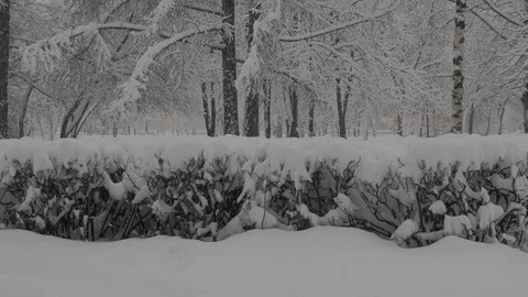 Snowfall Video stock 88894866