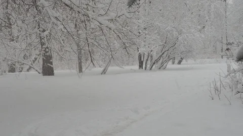 Snowfall Video stock 88894888