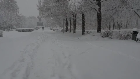 Snowfall Stock Footage 88894905