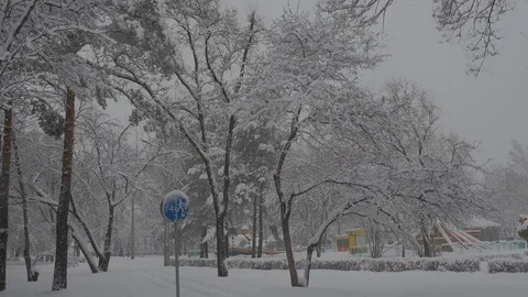 Snowfall Video stock 88894950