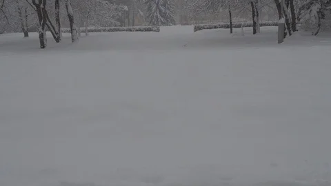 Snowfall Video stock 88894965