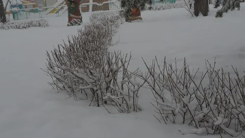 Snowfall Video stock 88894987