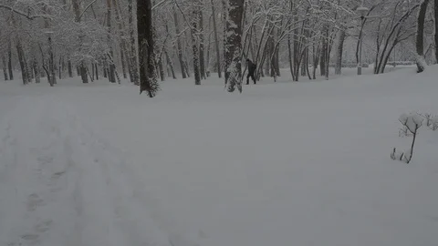 Snowfall Stock Footage 88895008