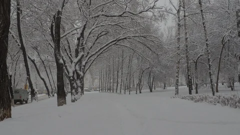 Snowfall Stock Footage 88895035