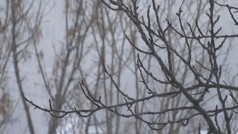 Snowfall Video stock 93311378