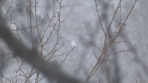 Snowfall Video stock 93311384