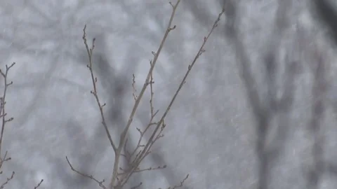 Snowfall Video stock 93311389