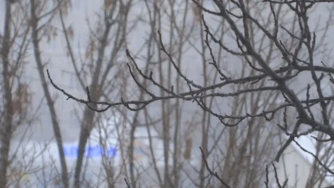 Snowfall Video stock 93744478