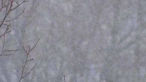Snowfall Video stock 93744490