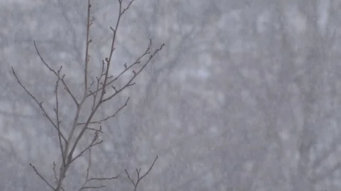 Snowfall Video stock 93744494