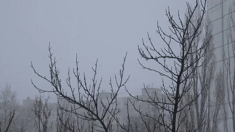 Snowfall Video stock 93744537