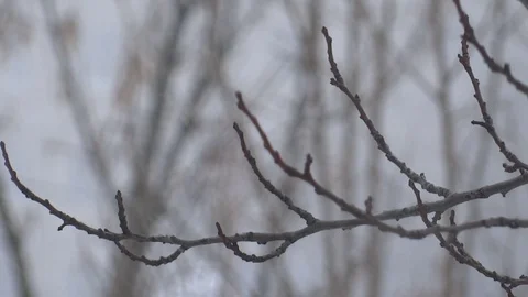 Snowfall Video stock 93744620