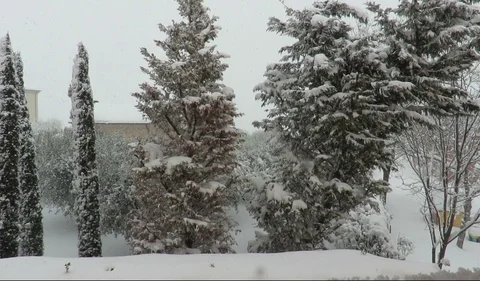 Snowfall Stock Footage 94919827