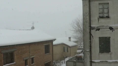 Snowfall Stock Footage 95837711