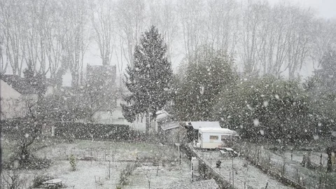 Snowfall Stock Footage 97696685