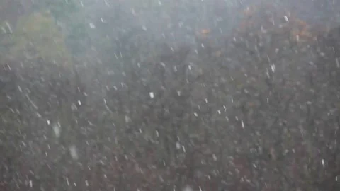 Snowfall Stock Footage 145610145