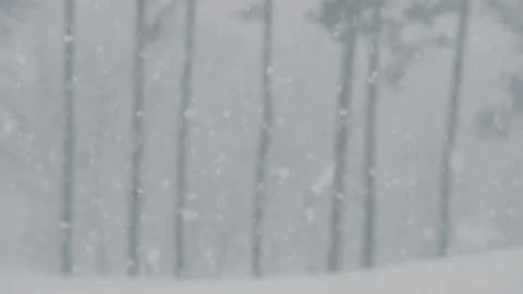 Snowfall Stock Footage 148346945