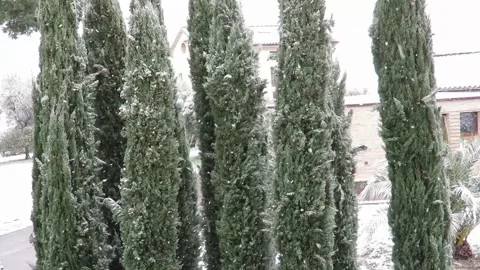 Snowfall Stock Footage 149747900