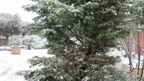 Snowfall Stock Footage 149748108