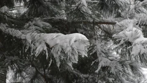 Snowfall Video stock 150932732