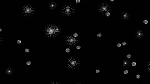 Snowfall Stock Footage 164920922