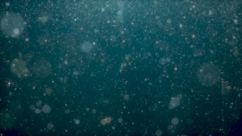 Snowfall 스톡 동영상 167846357