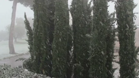 Snowfall Stock Footage 169071513