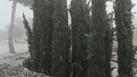 Snowfall Stock Footage 169071514