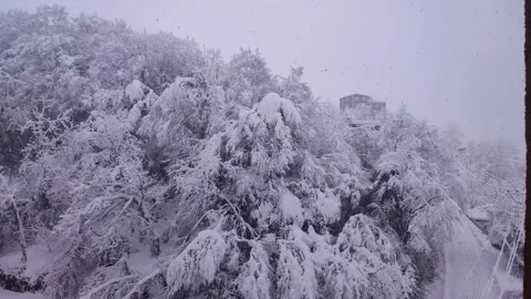 Snowfall Stock Footage 185150303